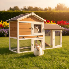 Kaninchenstall Hasen Stall