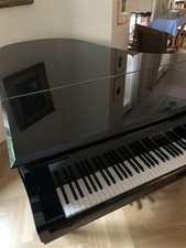 Grotrian-Steinweg Flügel 185