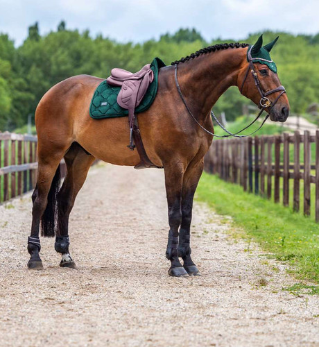 Equestrian stockholm green - stockholm,