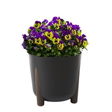 Pflanztopf mit Holzoptik