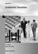 Strukturierte Steuerlehre