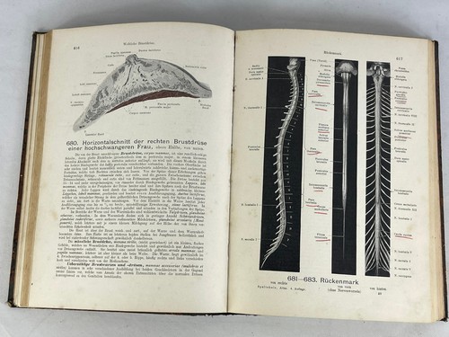 Buch handatlas der anatomie - handatlas,