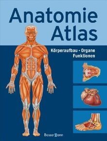 Anatomie atlas körperbau - anatomie-atlas:,