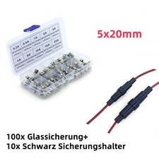 100x Glassicherung