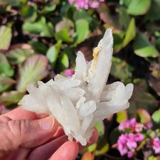 🔥Video🌈sehr schöne