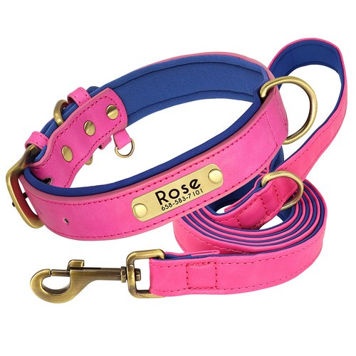Personalisiert hundehalsband - personalisiert,