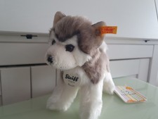 Steiff Tier 104985 Bernie Husky 17cm - Top Zustand 