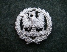 P 1881 kriegerverein - v.d.w.-p.,
