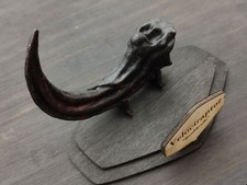 Velociraptor Kralle Replica 1:1 Deko Raptor Geschenkartikel Fossil Dinosaurier