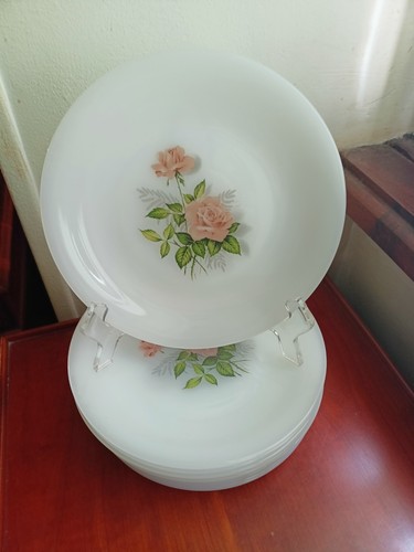 Arcopal roses france 12er - roses,