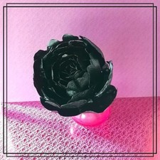 Pfingstrose aus Waffelpapier