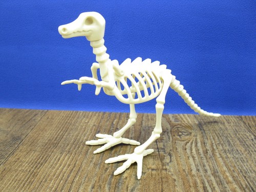 Dinosaurier skelett aus 3184 - dinosaurier,