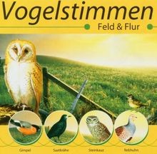 Vogelstimmen feld flur von - vogelstimmen-feld,