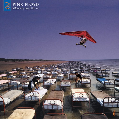 Pink floyd momentary - floyd, lapse