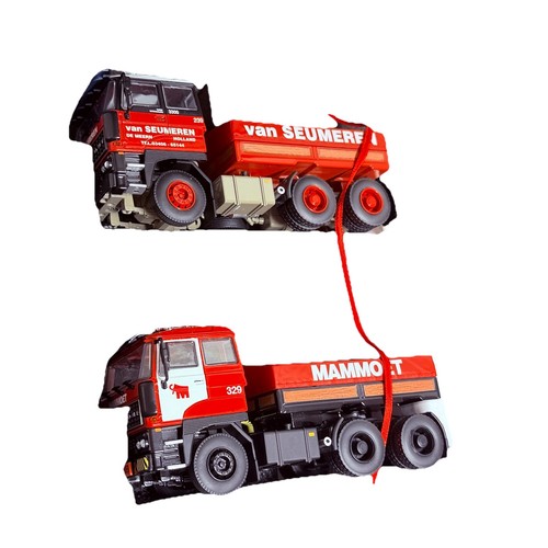 Wsi 9353 mammoet - daf, mit