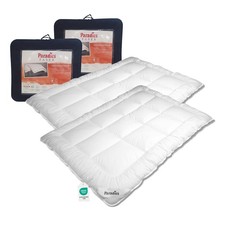 2 Stück Paradies Halia