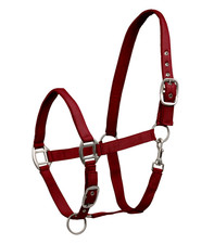 Halfter satin stallhalfter - halfter,