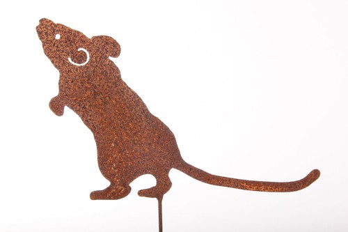 Maus neugierig edelrost zum - maus,