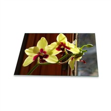 Herdabdeckplatte Ceran 1 Teilig 80x52 Blumen Gelb Abdeckung Glas Spritzschutz