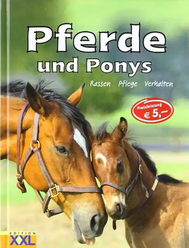 Pferde und ponys - pferde,