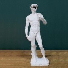 Coole Dave Michelangelo David