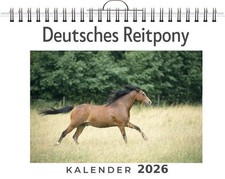 Deutsches Reitpony Mia