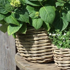 Pflanzkorb BRIGHTON grau braun