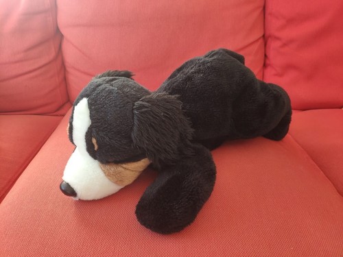 Kuscheltier hund berner - hund,