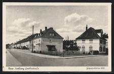 Gispersleben-Viti, Neue