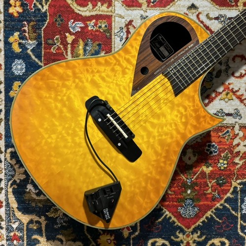 Morris akustik e gitarre - akustik, e-gitarre