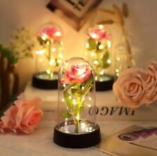 Rosa Rose Blume Dekoration