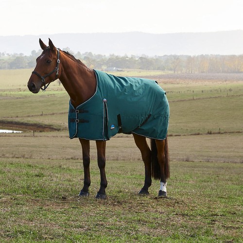 Weatherbeeta comfitec classic - weatherbeeta,