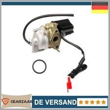 Vergaser 17mm kompatibel mit