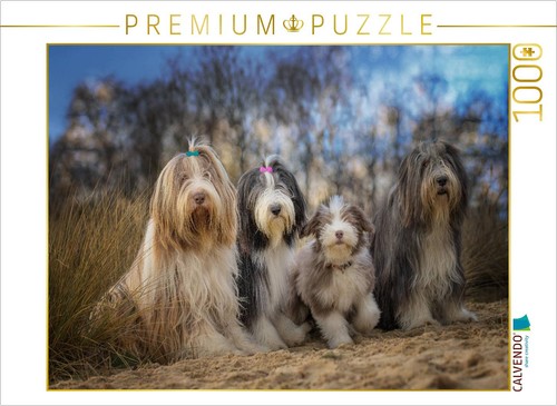 Calvendo puzzle bearded collie - bearded,