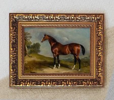 Arabisches Rennpferd - John