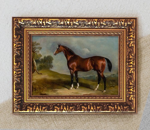 Arabisches rennpferd john - rennpferd,