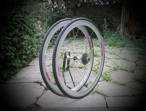 Campagnolo shamal hpw - campagnolo,