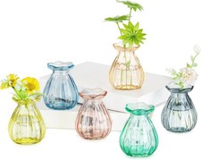 Glasseam Glas Kleine Vasen