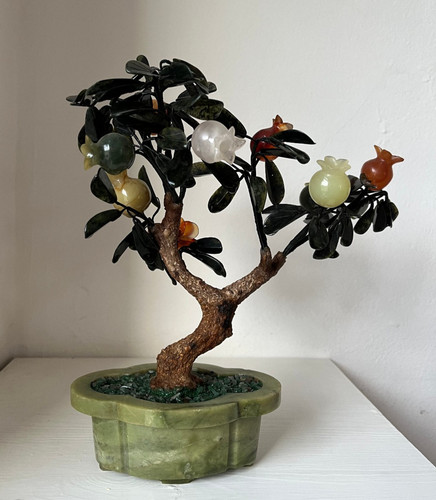 Reduziert glücksbaum bonsai - reduziert,