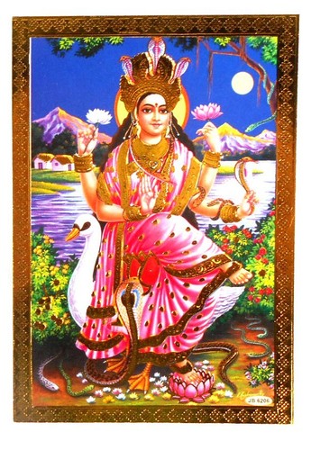 Bild picture saraswati - ,