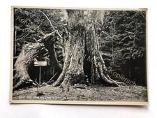 AK Brock Dorfmark 1000jaehrige