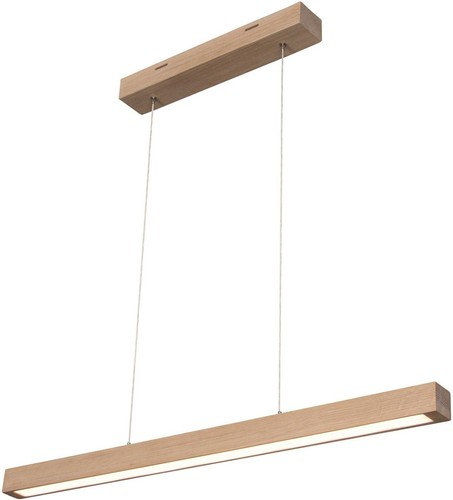 Spot light pendel - spot,