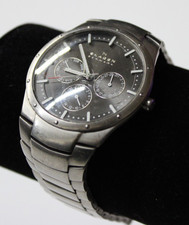 Skagen Denmark 39mm Titanium