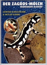 Der Zagros Molch - Neurergus