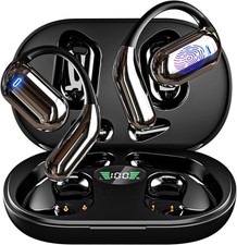 AI Translation Earbuds Real