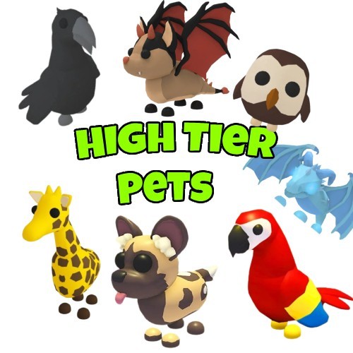 Adopt legendary high - adopt, me
