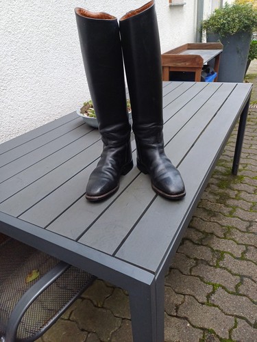 Cavallo dressur damen - dressur,