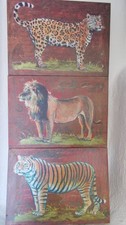3 schöne Wandbilder Afrika Tiere Leinwand Löwe Tiger Wildtierdruck 35,4x 25,4 cm