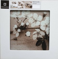 Eurographics Glasbild 30x30cm