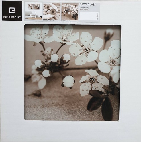 Eurographics glasbild 30x30cm - eurographics,